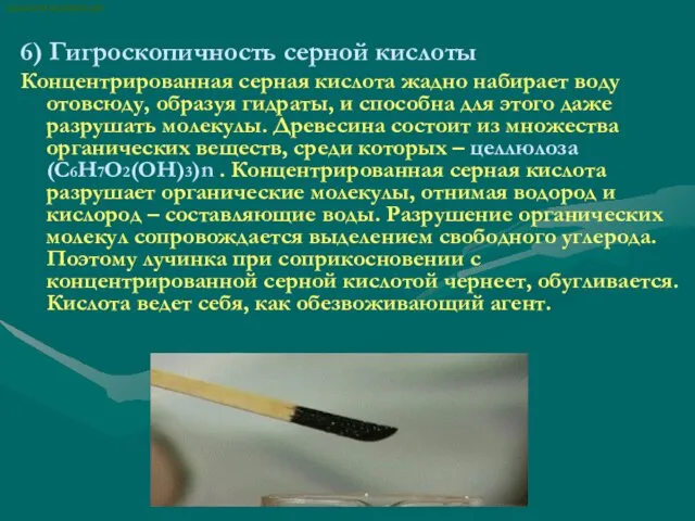 6) Гигроскопичность серной кислоты Концентрированная серная кислота жадно набирает воду отовсюду, образуя