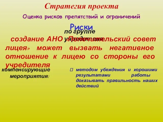 Стратегия проекта Оценка рисков препятствий и ограничений по группе учредителя Риски создание