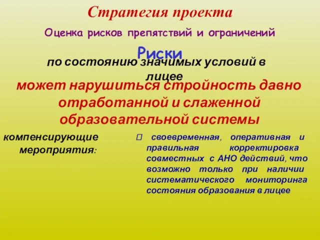 Стратегия проекта Оценка рисков препятствий и ограничений по состоянию значимых условий в