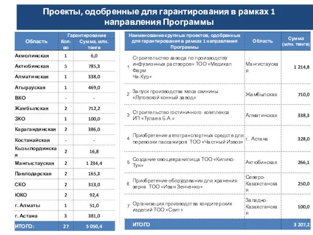 Проекты, одобренные для гарантирования в рамках 1 направления Программы