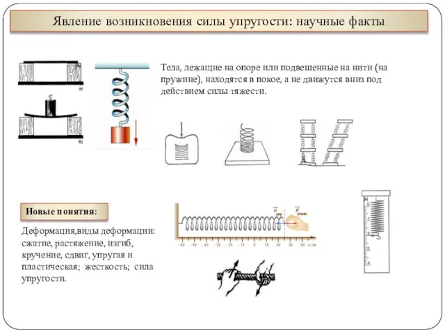 Явление возникновения силы упругости: научные факты Тела, лежащие на опоре или подвешенные