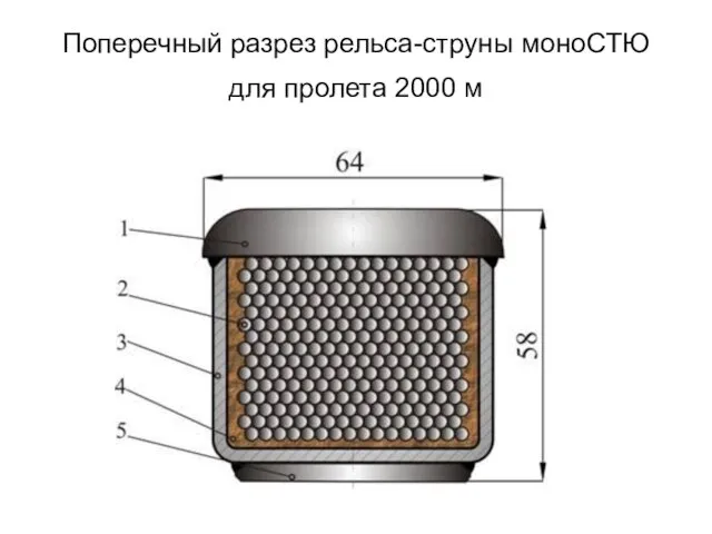 Поперечный разрез рельса-струны моноСТЮ для пролета 2000 м