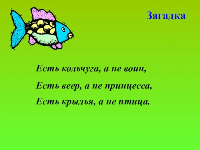 Есть кольчуга, а не воин, Загадка Есть веер, а не принцесса, Есть крылья, а не птица.