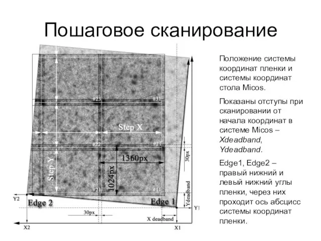 Пошаговое сканирование Положение системы координат пленки и системы координат стола Micos. Показаны