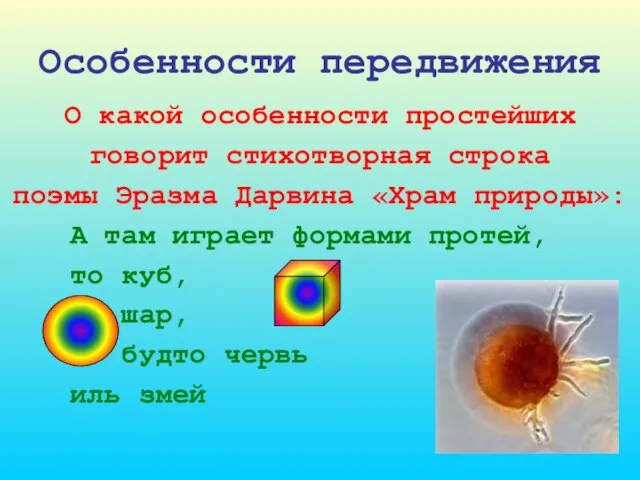 Особенности передвижения О какой особенности простейших говорит стихотворная строка поэмы Эразма Дарвина