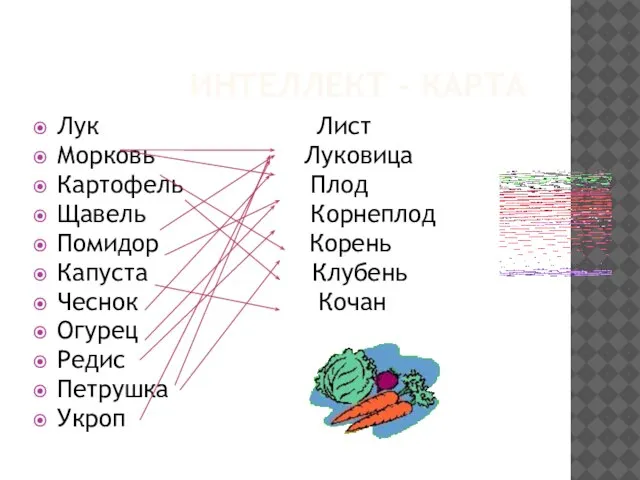 ИНТЕЛЛЕКТ - КАРТА Лук Лист Морковь Луковица Картофель Плод Щавель Корнеплод Помидор