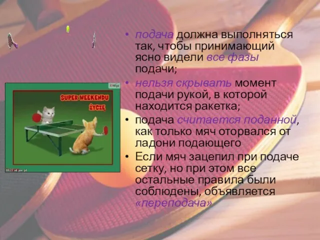 подача должна выполняться так, чтобы принимающий ясно видели все фазы подачи; нельзя