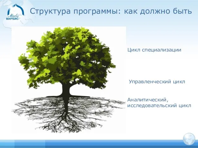 Аналитический, исследовательский цикл Управленческий цикл Цикл специализации Структура программы: как должно быть