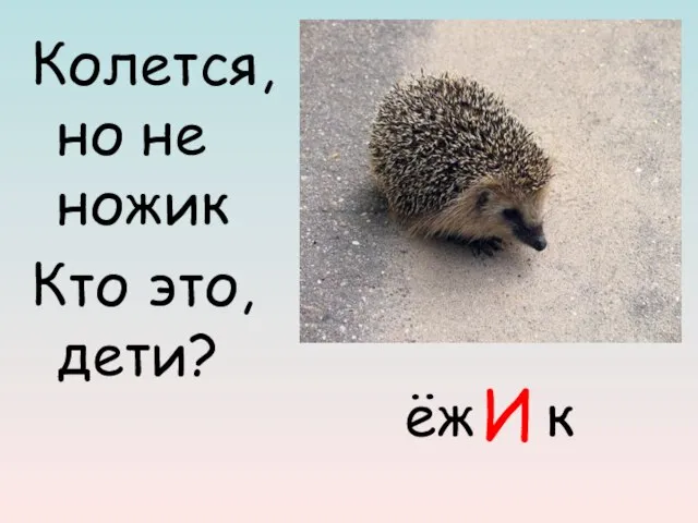 ёж к Колется, но не ножик Кто это, дети? И