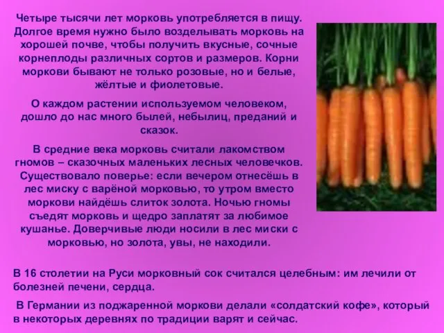 Четыре тысячи лет морковь употребляется в пищу. Долгое время нужно было возделывать