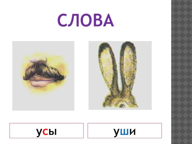 СЛОВА усы уши