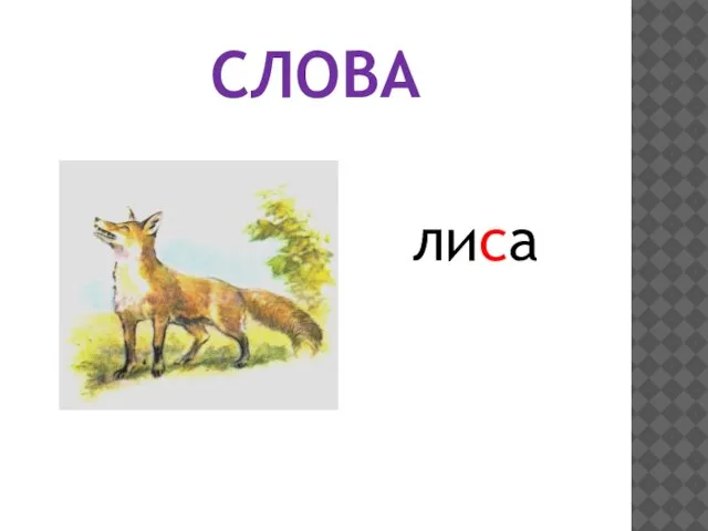 СЛОВА лиса