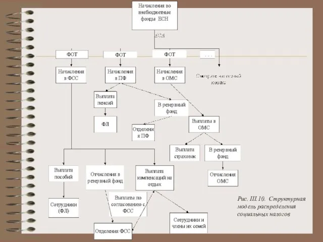 Рис. III.10. Структурная модель распределения социальных налогов