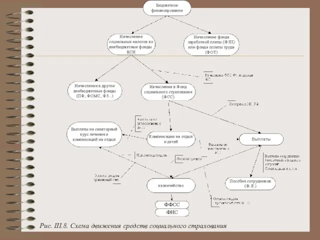 Рис. III.8. Схема движения средств социального страхования