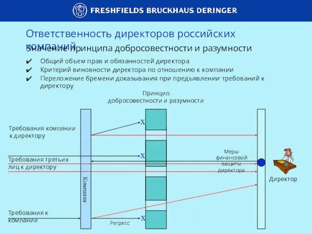 Ответственность директоров российских компаний Значение принципа добросовестности и разумности Общий объем прав