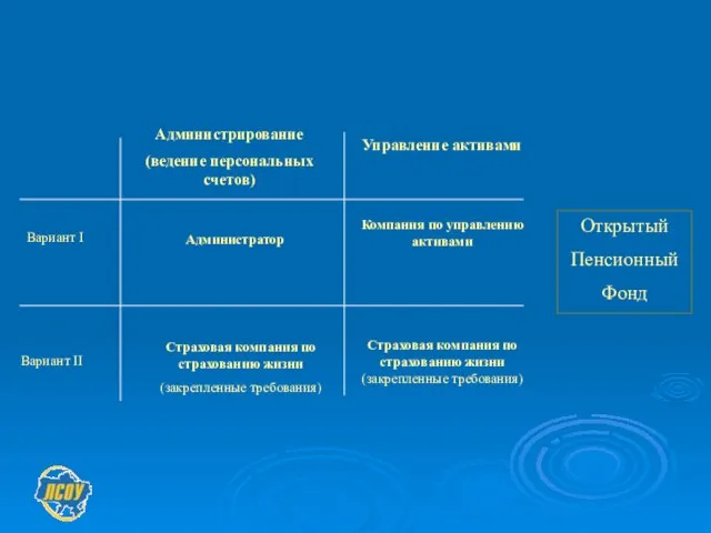 Варианты управления открытым пенсионным фондом на 2 уровне ПО Вариант I Вариант