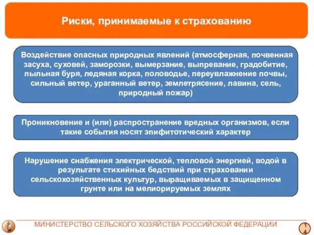 Риски, принимаемые к страхованию 14 МИНИСТЕРСТВО СЕЛЬСКОГО ХОЗЯЙСТВА РОССИЙСКОЙ ФЕДЕРАЦИИ Проникновение и