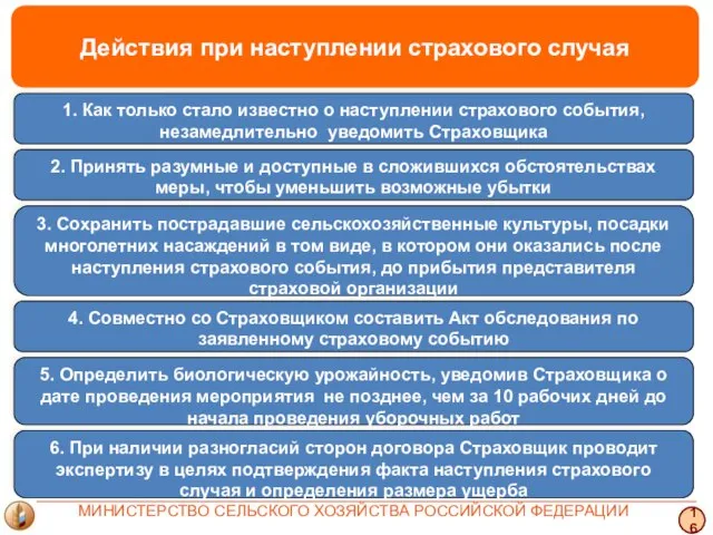 Действия при наступлении страхового случая 16 МИНИСТЕРСТВО СЕЛЬСКОГО ХОЗЯЙСТВА РОССИЙСКОЙ ФЕДЕРАЦИИ 1.