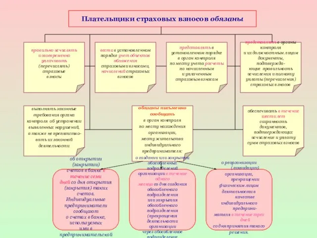 Плательщики страховых взносов обязаны представлять в органы контроля и их должностным лицам