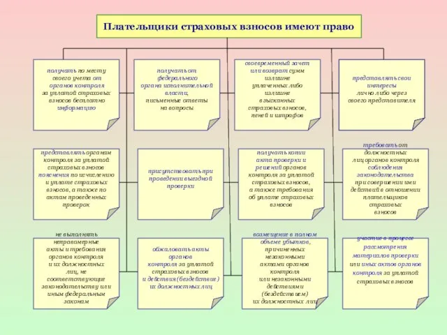 Плательщики страховых взносов имеют право представлять свои интересы лично либо через своего