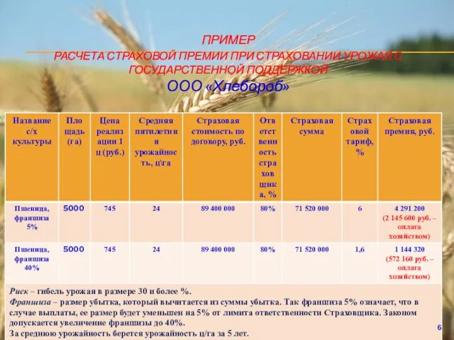 ПРИМЕР РАСЧЕТА СТРАХОВОЙ ПРЕМИИ ПРИ СТРАХОВАНИИ УРОЖАЯ С ГОСУДАРСТВЕННОЙ ПОДДЕРЖКОЙ ООО «Хлебороб»