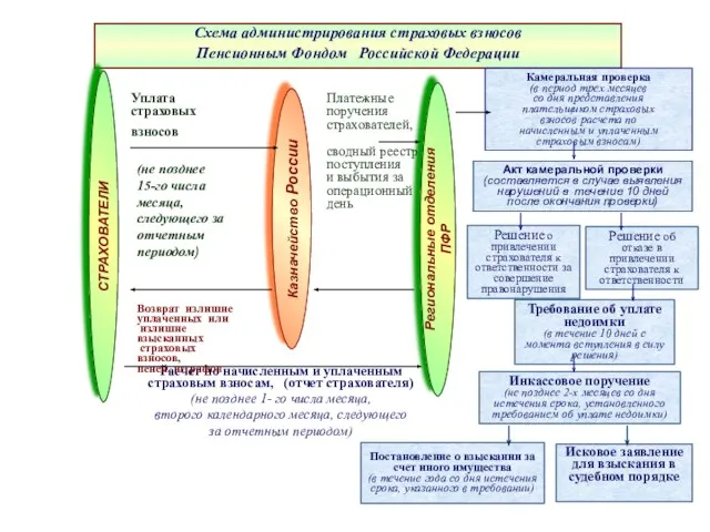 Схема администрирования страховых взносов Пенсионным Фондом Российской Федерации Камеральная проверка (в период