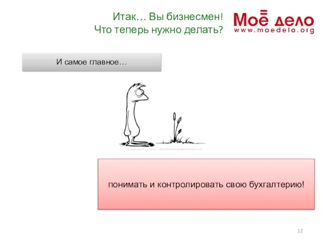 Итак… Вы бизнесмен! Что теперь нужно делать? И самое главное… понимать и контролировать свою бухгалтерию!