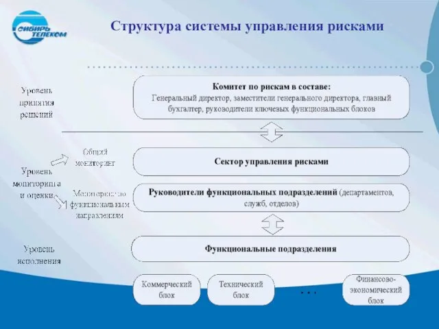 Структура системы управления рисками