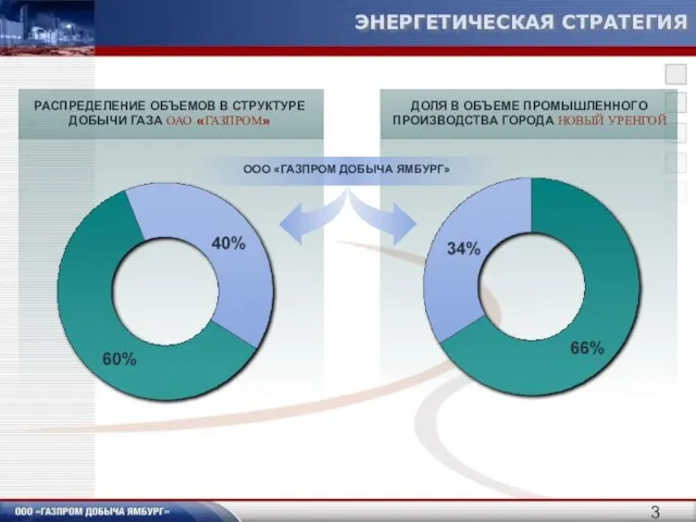 ЭНЕРГЕТИЧЕСКАЯ СТРАТЕГИЯ