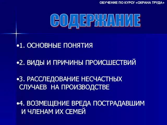 СОДЕРЖАНИЕ 1. ОСНОВНЫЕ ПОНЯТИЯ 2. ВИДЫ И ПРИЧИНЫ ПРОИСШЕСТВИЙ 3. РАССЛЕДОВАНИЕ НЕСЧАСТНЫХ