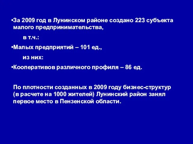 За 2009 год в Лунинском районе создано 223 субъекта малого предпринимательства, в