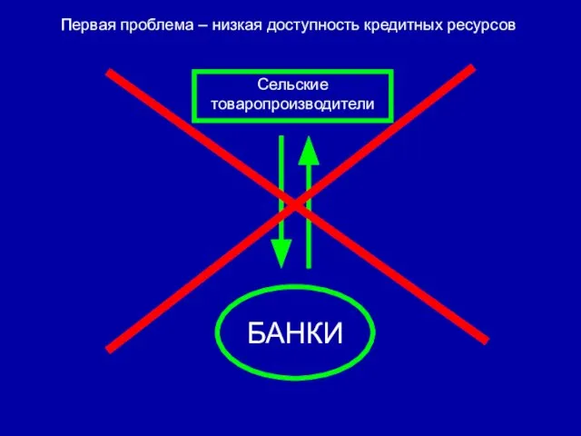 Первая проблема – низкая доступность кредитных ресурсов Сельские товаропроизводители БАНКИ