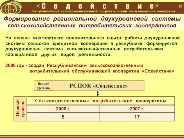 20 РСПОК «Содействие» Второй уровень Сельскохозяйственные потребительские кооперативы 2006 г. На основе