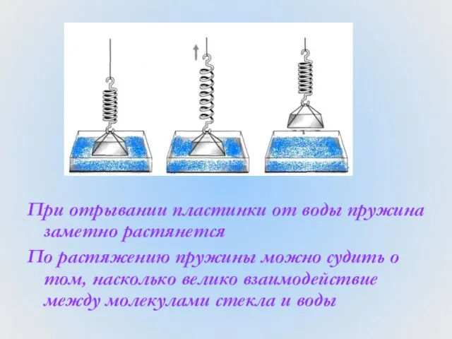 При отрывании пластинки от воды пружина заметно растянется По растяжению пружины можно