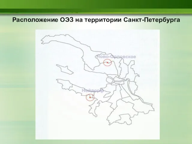 Расположение ОЭЗ на территории Санкт-Петербурга