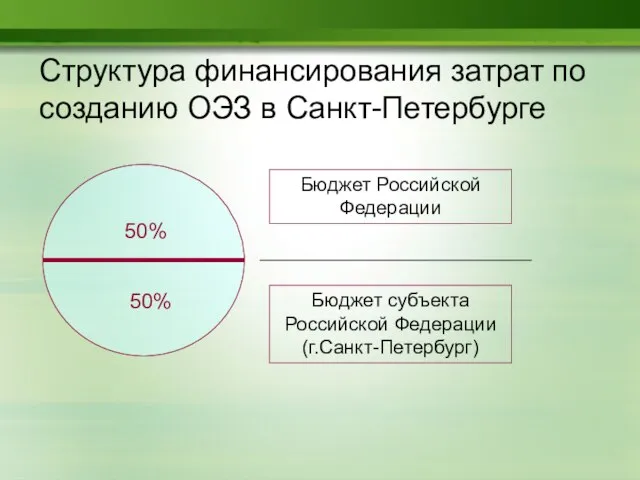 Структура финансирования затрат по созданию ОЭЗ в Санкт-Петербурге Бюджет субъекта Российской Федерации