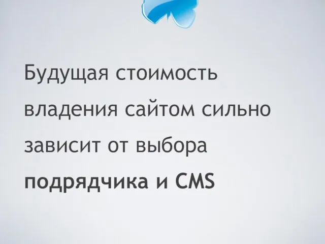 Будущая стоимость владения сайтом сильно зависит от выбора подрядчика и CMS