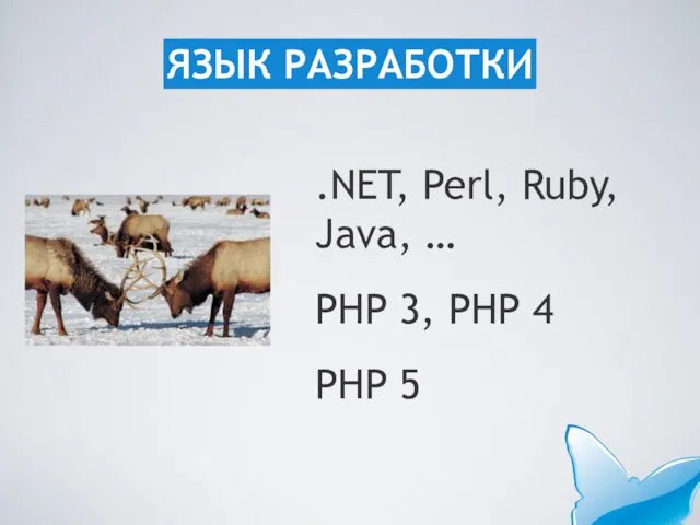 .NET, Perl, Ruby, Java, … PHP 3, PHP 4 PHP 5 ЯЗЫК РАЗРАБОТКИ
