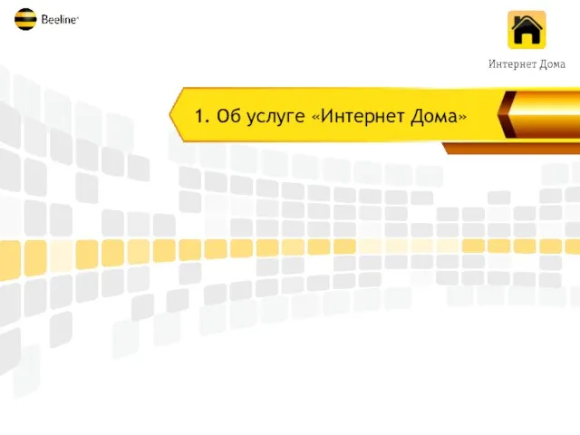 1. Об услуге «Интернет Дома»