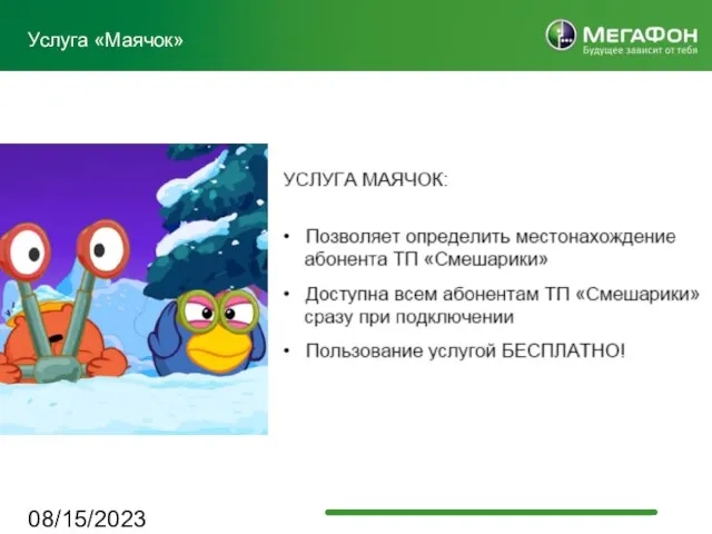 08/15/2023 Услуга «Маячок»