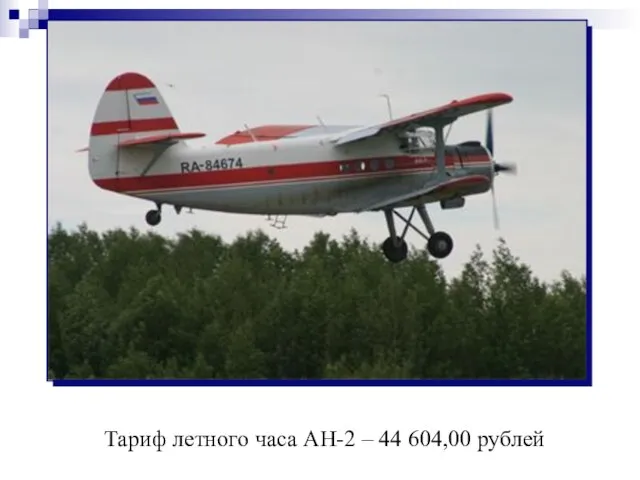 Тариф летного часа АН-2 – 44 604,00 рублей