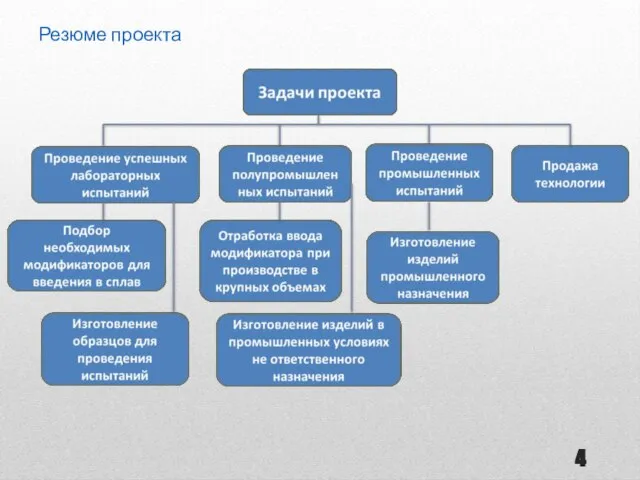 Резюме проекта