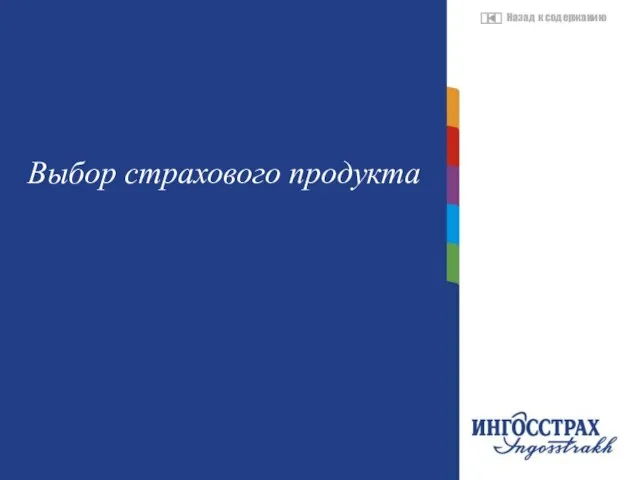 Название главы Выбор страхового продукта