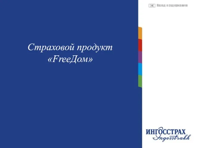 Название главы Страховой продукт «FreeДом»