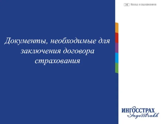 Название главы Документы, необходимые для заключения договора страхования