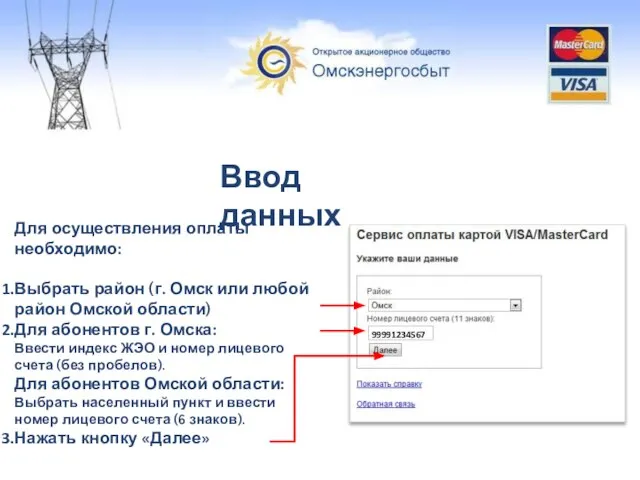 Ввод данных Для осуществления оплаты необходимо: Выбрать район (г. Омск или любой