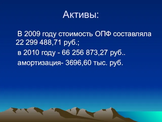 Активы: В 2009 году стоимость ОПФ составляла 22 299 488,71 руб.; в