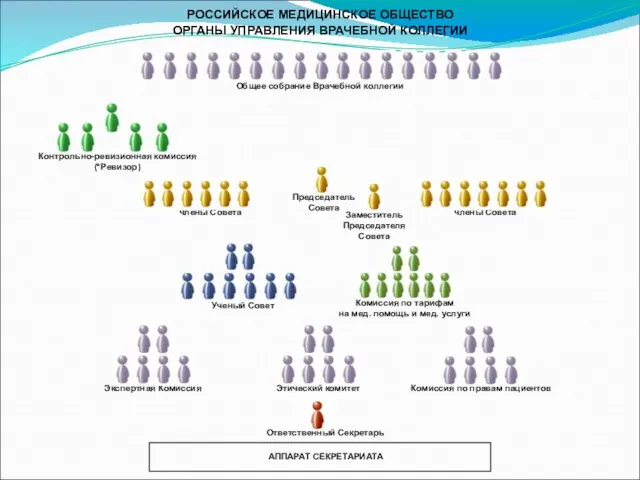 РОССИЙСКОЕ МЕДИЦИНСКОЕ ОБЩЕСТВО ОРГАНЫ УПРАВЛЕНИЯ ВРАЧЕБНОЙ КОЛЛЕГИИ Председатель Совета Контрольно-ревизионная комиссия (*Ревизор)
