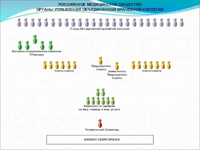 РОССИЙСКОЕ МЕДИЦИНСКОЕ ОБЩЕСТВО ОРГАНЫ УПРАВЛЕНИЯ ОБЪЕДИНЕННОЙ ВРАЧЕБНОЙ КОЛЛЕГИИ Председатель Совета Контрольно-ревизионная комиссия