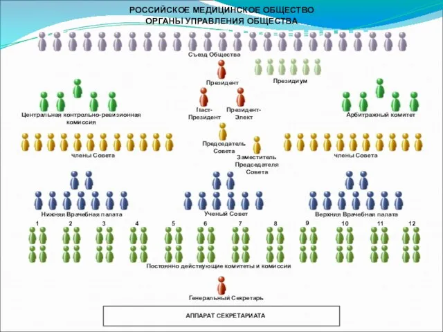 РОССИЙСКОЕ МЕДИЦИНСКОЕ ОБЩЕСТВО ОРГАНЫ УПРАВЛЕНИЯ ОБЩЕСТВА Паст- Президент Президент-Элект Президент Председатель Совета